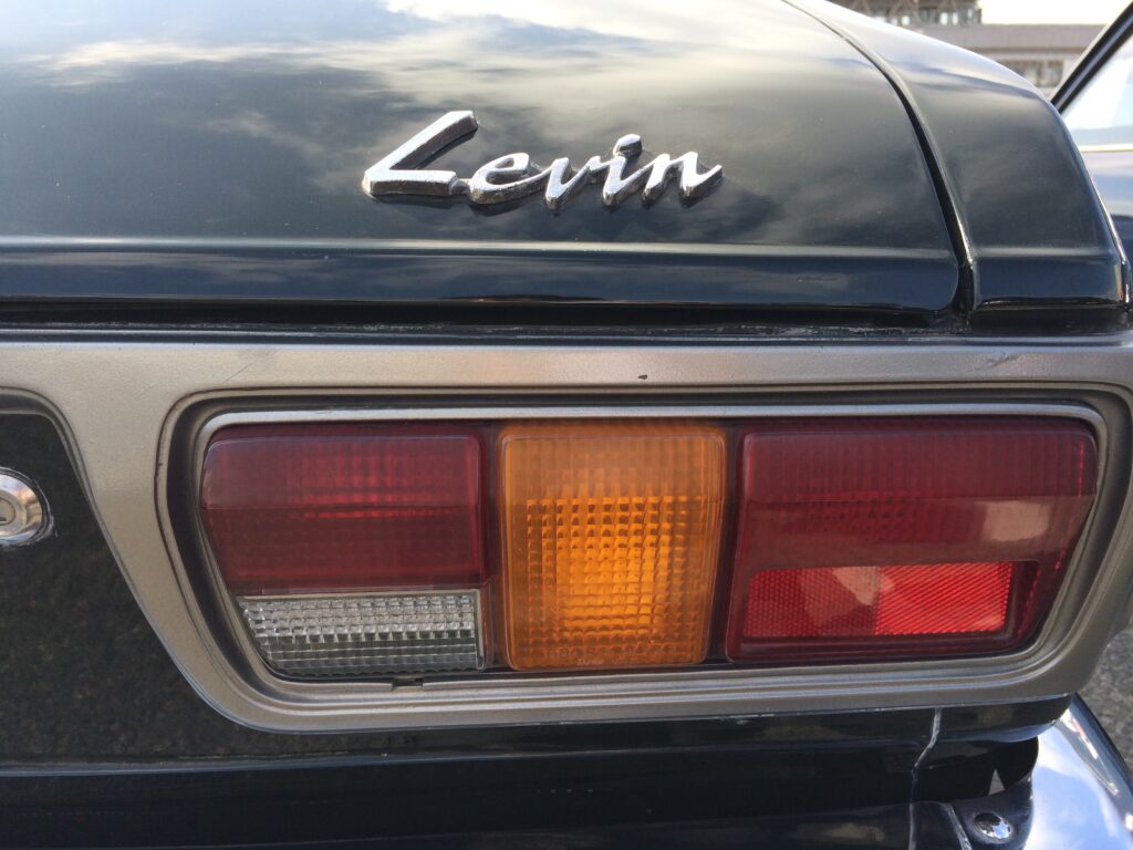 レビンのバッジ