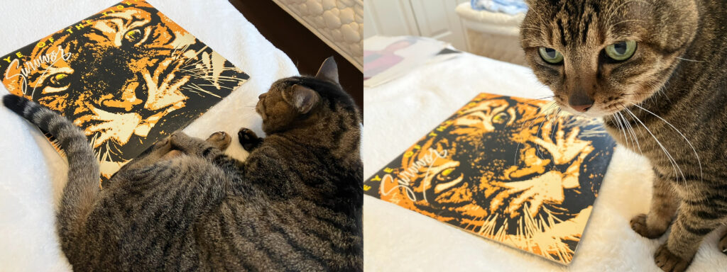 ネコとサバイバー